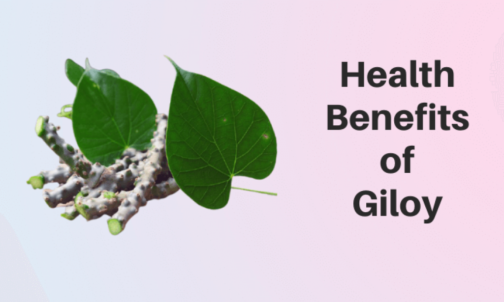 Health Benefits of Giloy