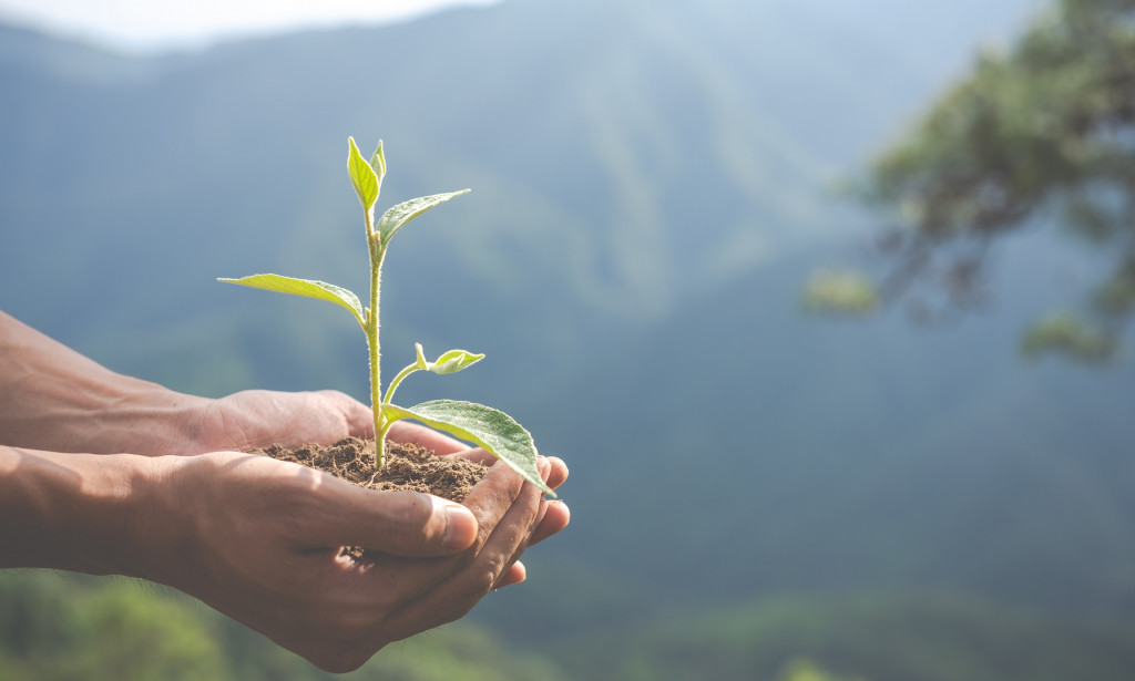 What are the ten perspectives of new beginning?