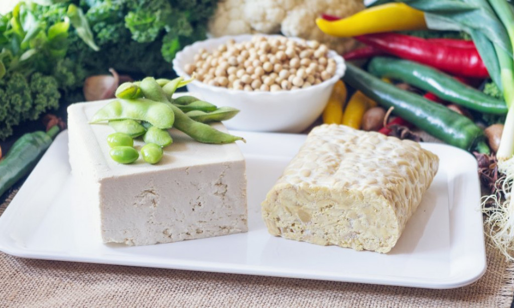 Best High-Protein Food Source For Full-Body Weight Loss