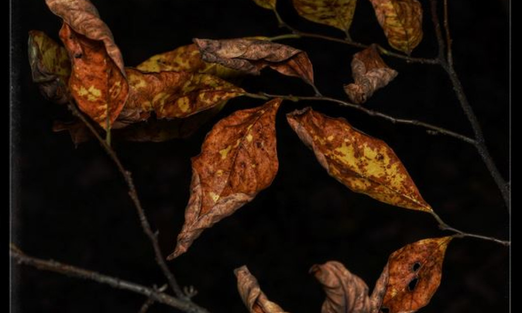 5 Tips To Guide You When Installing Art In Your Space