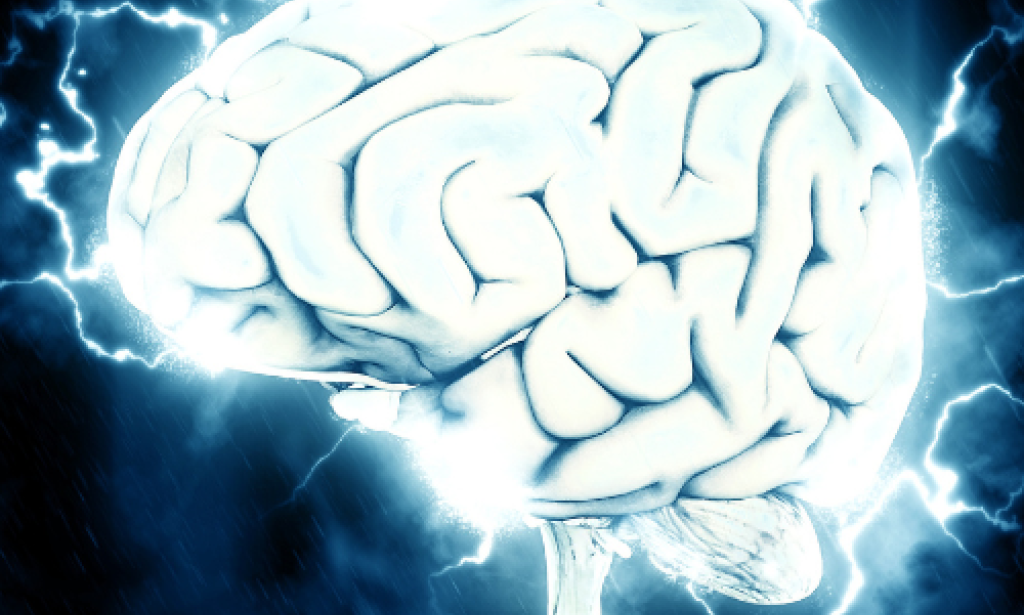 Understanding Memory Changes: From Normal Aging to Pathological Conditions