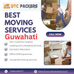 dtcpackers